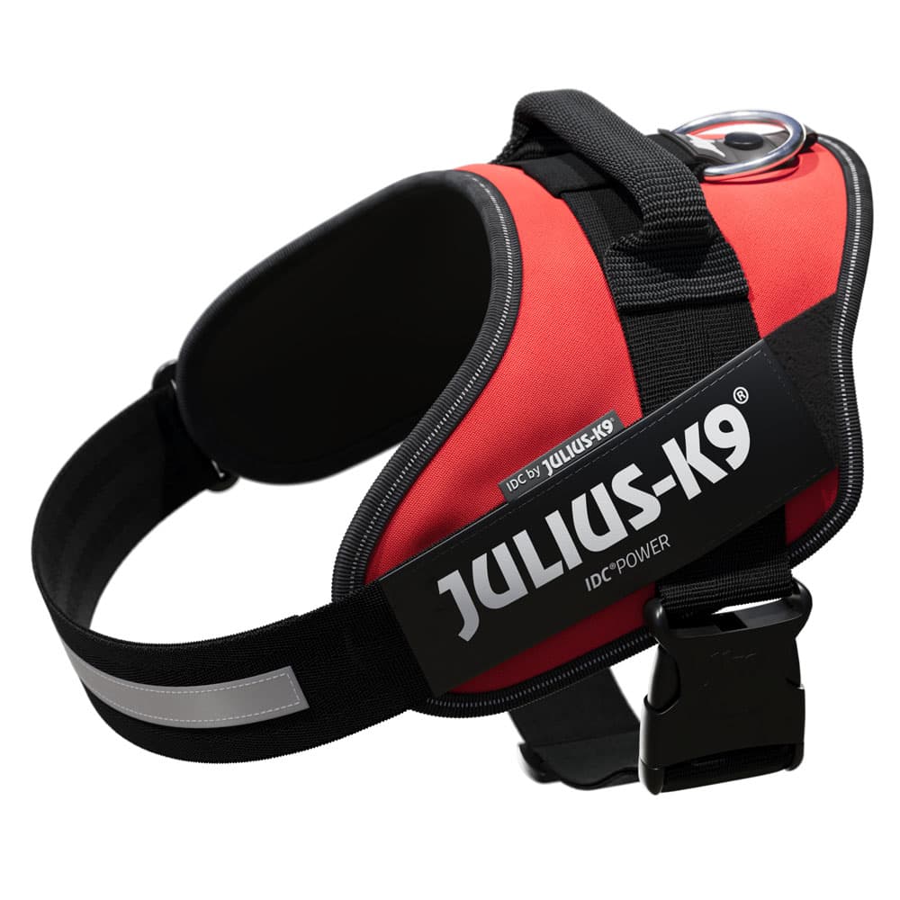 JULIUS-K9 IDC®-K9 IDC®-Powersele - rød - Størrrelse L: brystomkrets 63 - 85 cm