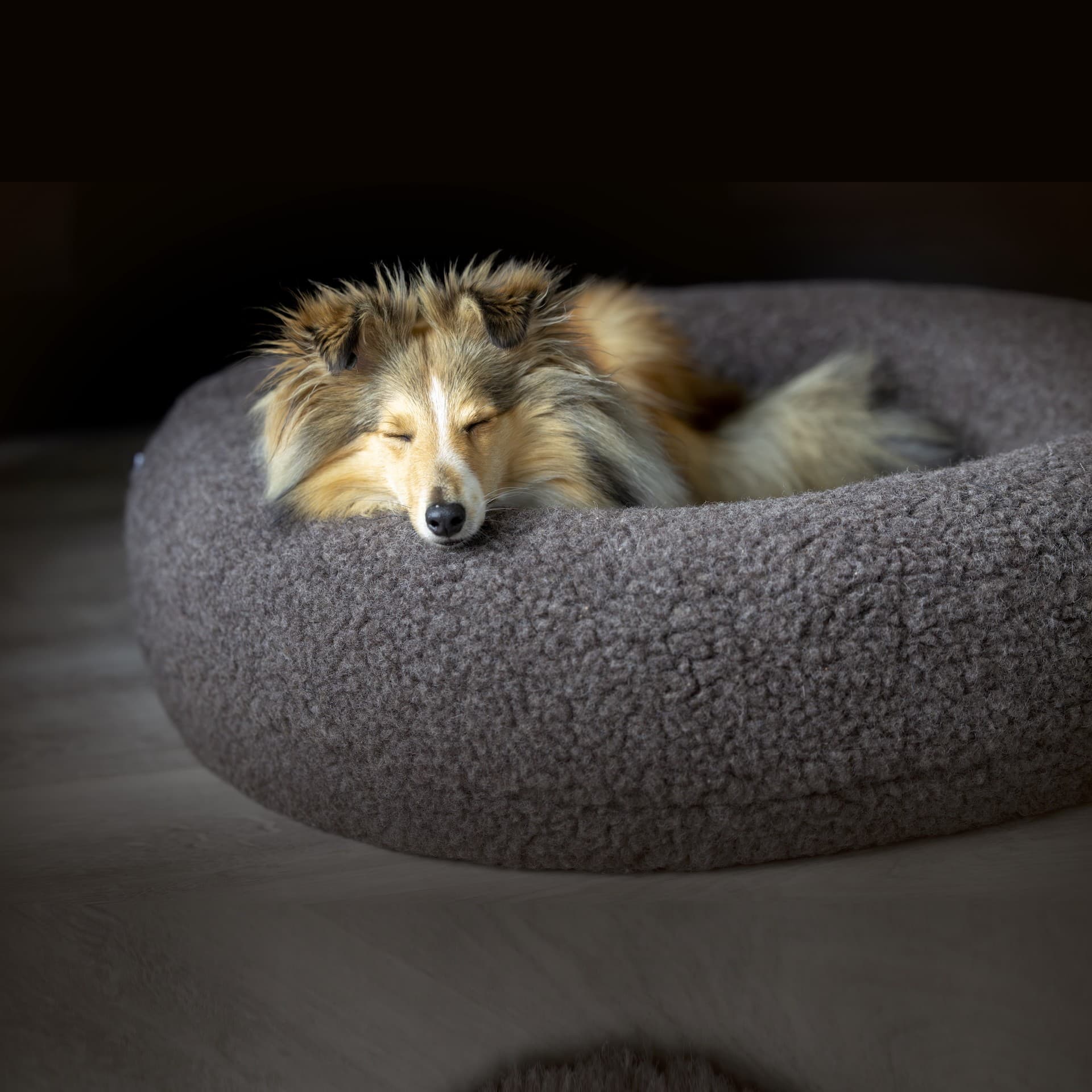 Canelana rund hundeseng i 100% ull - Large - Grå-Brun